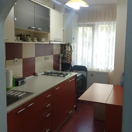 Апартаменты Dambu Studio Тыргу-Муреш Экстерьер фото