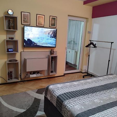 Апартаменты Dambu Studio Тыргу-Муреш Экстерьер фото